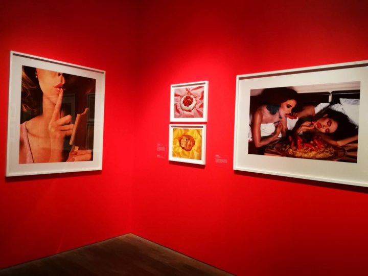 Feast For The Eyes - The story of food in photography - The Photographers Gallery