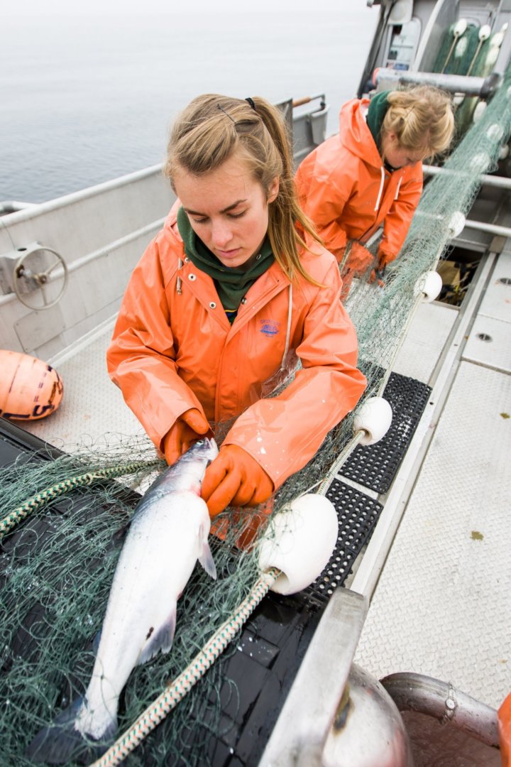 Women in Seafood & the Fishing Industry - Women In The Food Industry